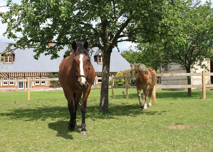 Bed & Breakfast Le Clos Marie