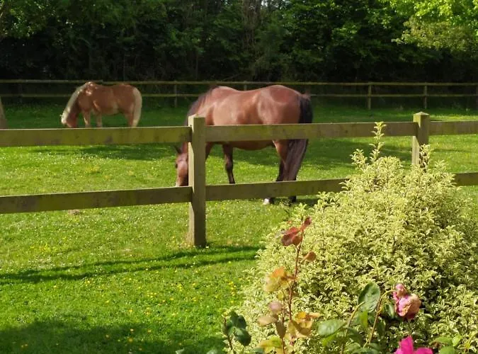 Le Clos Marie Bed & Breakfast 4*